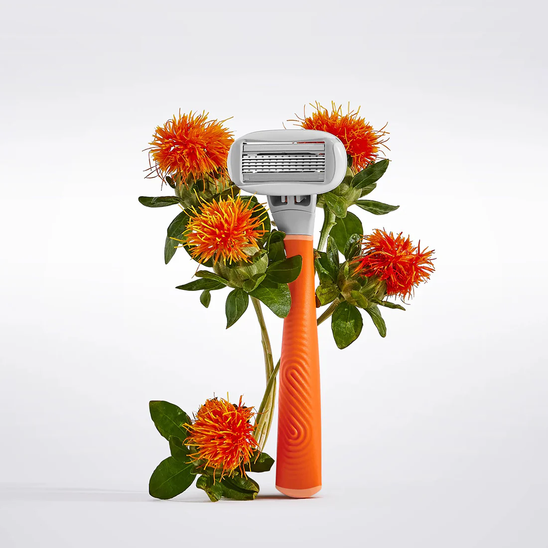 Original Razor - Image 23